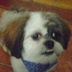 Meet your Posher, Ligia